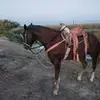 Alonso Castaneda - @alonsocastaneda0 - TikTok