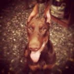 Alonso Chapa - @alonsochapa - Instagram