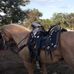 Alonso Chavez - Facebook
