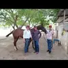 Alonso Chavez - @alonso.chavez84 - TikTok