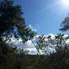 Alonso Vasquez - @vasquezyeymi - TikTok