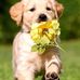 Alonza Mitchell - Facebook