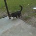 Alonza Mitchell - Facebook