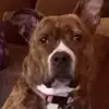 Alonzo Bey - @alonzo.bey5 - TikTok