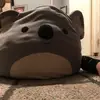 Alonzo Delgado - @alonzo.delgado - TikTok