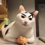 Alper Arslan - @alperovec - Instagram