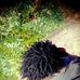 ALPHA jallow - Facebook