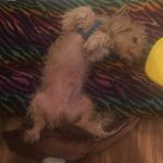 Alphonso Robinson - @alphonso.robinson.5249 - Instagram