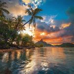Alstonbrown_ - @alstonbrown_ - Instagram