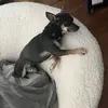 Alston - @alston.johnson - TikTok