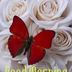 Altaf Merchant - Facebook