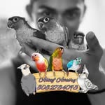 Altaf Shaikh - @altafavairy - Instagram