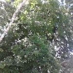 Althea Brown - @althea.brown.50596 - Instagram