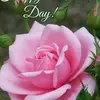 althea_brown - @althea_brown - TikTok