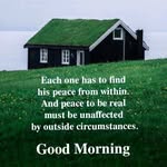 Althea Davidson - @altheaameera35 - Instagram