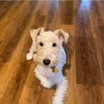 Althea Parham Lamb - @altheaparhamlamb - Instagram