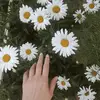 Althealea - @likalabadze1 - TikTok