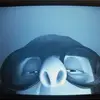 Memeihere - @althea3lea - TikTok