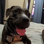 Althea White - @pittiepittietamba - Instagram