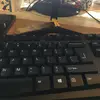 Altha Frederick89 - @altha.frederick89 - TikTok