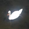 Alto_sugg18 - @alto_sugg18 - TikTok