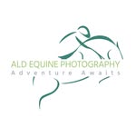Alun Lloyd Davies Equine Photography - @aldequinephotography - Instagram