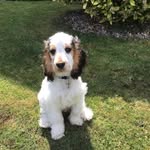 Alun Lloyd Howatson - @alunhowatson - Instagram