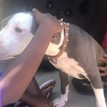 Alva - @alvaevans742019 - Instagram