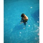 Alvaro Vasquez - @alvarovasquezr - Instagram