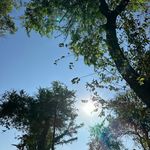 Álvaro Vásquez - @furiareciclada - Instagram