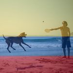 Alvaro Vela - @vela.alvaro - Instagram