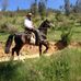 Alvaro Vera - Facebook
