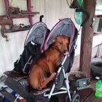 Alvin Aaron - Facebook