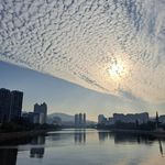 Alvin Cho - @cho.alvin - Instagram