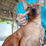 Alvs - @alvin.clemente_199x - Instagram