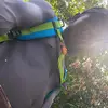 Alvin Sookdeo - @alvin.sookdeo14 - TikTok