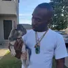 Alvin Douglas - @exoticdogfactory - TikTok