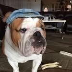 Alvin Douglas - @a_alvindouglas - Instagram