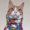Alvin El Gatote - @alvin_elgatote - TikTok
