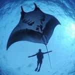 Alvin ckycvml Gardner - @gokhankuday_897877 - Instagram