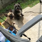 Alvin Gardner - @gejimex476 - Instagram