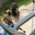 Alvin Gardner - @alvingardner4332 - Instagram