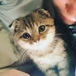 Alvin🔹Hari🔹Riczi - @hari.alvin.riczi.cat - Instagram