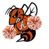 Alvin High School Cheer - @alvinhscheer - TikTok