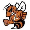 alvinhighschool1 - @alvinhs_hs - TikTok