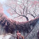 Alvin  Koh - @alvinkoh2408 - Instagram