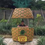 Alvin koh - @mraruvin - Instagram