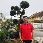 Alvin Koh - @alvin.koh.8386 - Instagram