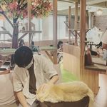 Alvin Lin - @alvin.lin1090029 - Instagram