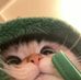 Alvin Mo - Facebook